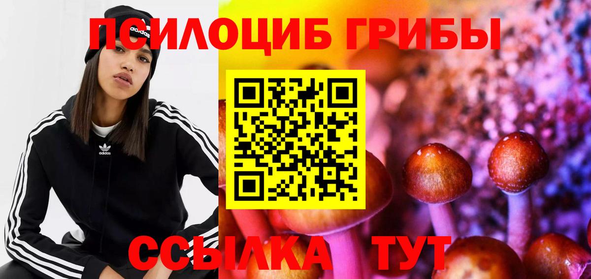 Псилоцибиновые грибы прущие грибы  где купить наркотик  Обнинск  Вход с VPN 
