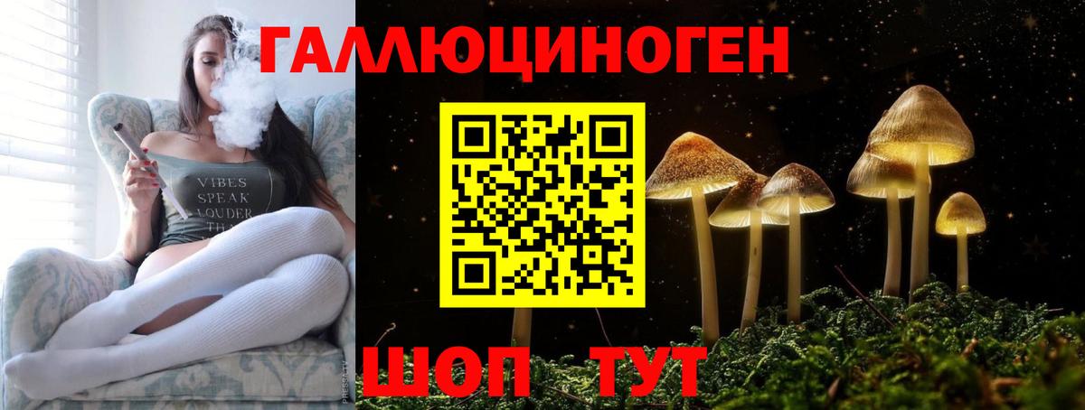 Псилоцибиновые грибы Psilocybe Обнинск